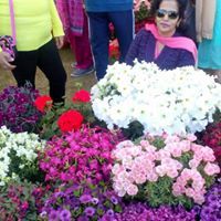 Rumi Anand