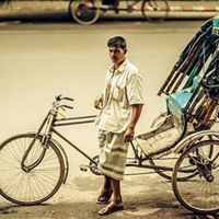 স্নিগ্ধ গাংচিল