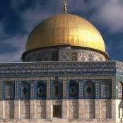 طارق العوني