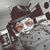 Imane Majdoub