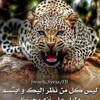 ابو انس