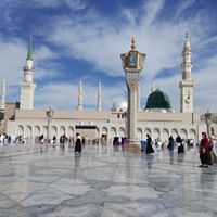أبوبكر الحامد