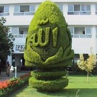 عبودي الصغير