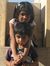 Savitha...