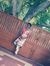 Tharani...