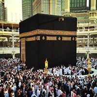 سامى ابراهيم