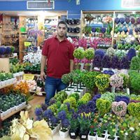 Mohammad Alrousan