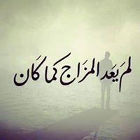 اسد المرابط