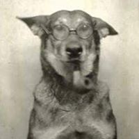 Christopher Flansburg