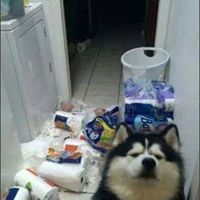 ชณาชิณต์ ชนะสิบทิศ