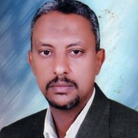 أبوالعلا أبوحاج