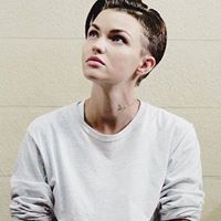 Ցանցառ Գժուկ