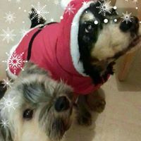 Miss E Sharples-Wright