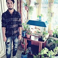 Vikas Koundal