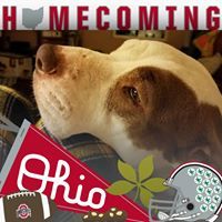 Janae Shackelford-Ammon