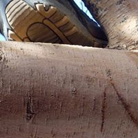 ناصر الحمادي