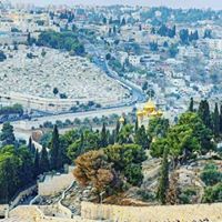 محمد ابو اياد زاهر