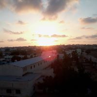 محمد المصري