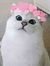 Cathy E...