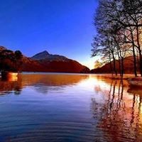 سفير الصحراء