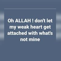 Wajeeha Afzal