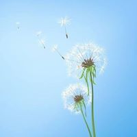 Віра Хомицька