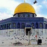 عبدالرحمن كني