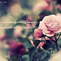 نسرين ابو حمد