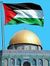 فايز رومية