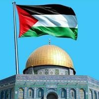 فايز رومية