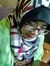 Nazia Nur