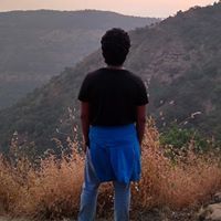 Rushikesh Dhamankar