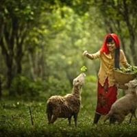 Rajitha Gopalakrishnan