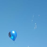 ۄرڌ ٵلڇوڕيے