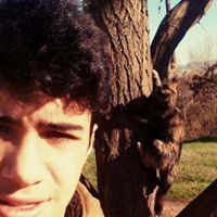 Φωτης Πουτουρης