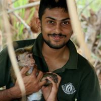 චරිත් සේනාධීර