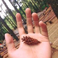 Hanif Ariansyah