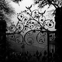 الوشاح اﻷسود باسمة