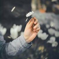 الدره المصونه