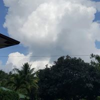 تميد السعودية