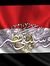 Ahmed Hany