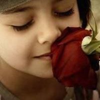 Saban Haytham Bashir Elfadil