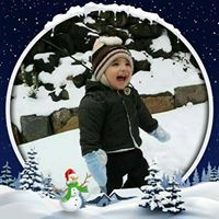 غازي المغوش