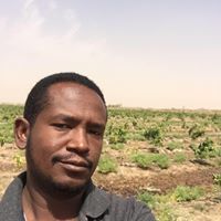 عروة الشريف