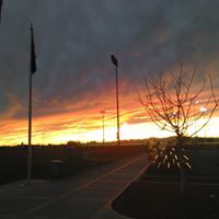 Denise Maitner Accurso