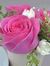 Faten S...