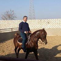 Mohamed-Ibrahim Elsaid