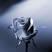Sahil Kolhapure