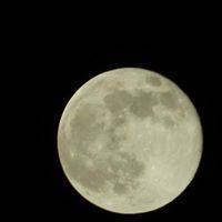 عيسى الدوسري