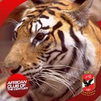 محمد ابوالنور